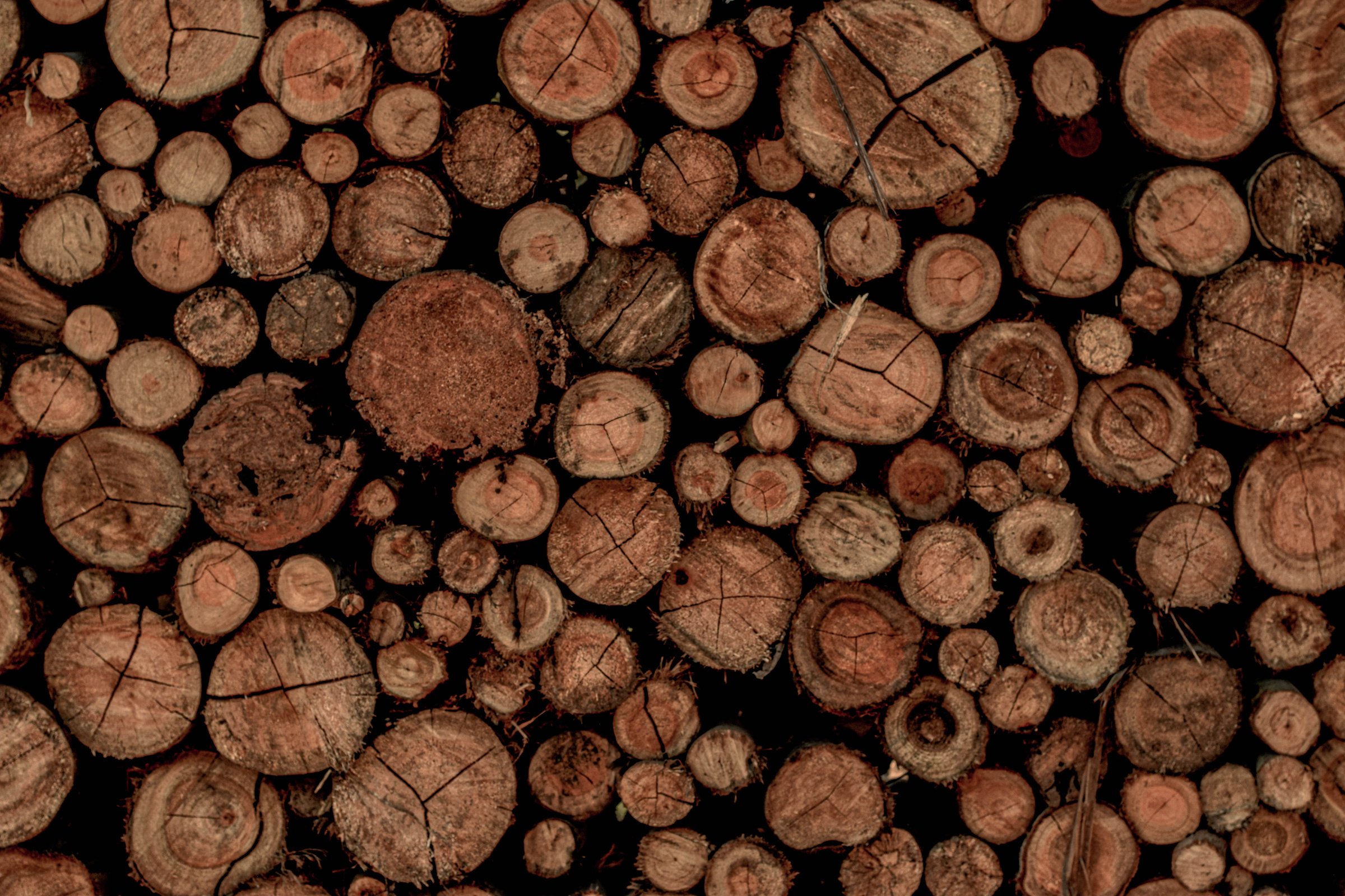 Stack of Woods in Close-up Shot